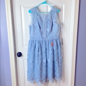 *NEW* Powder Blue Chi Chi London Bryce Dress